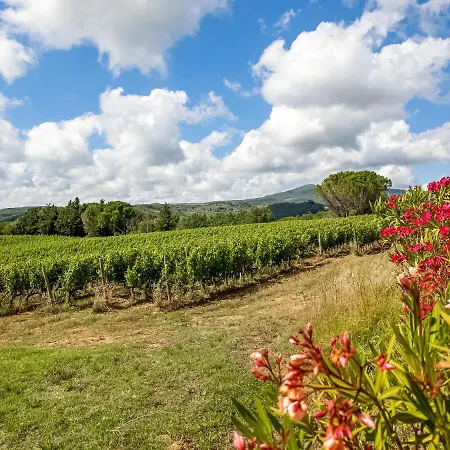 Serene Farmhouse In Montescudaio With Skiing Nearby *